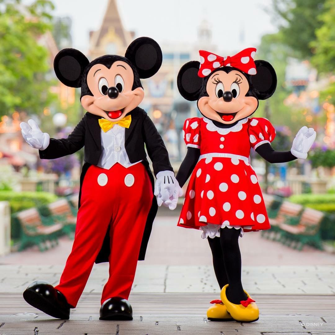 Disney World Reveal Videos